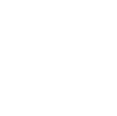 ng体育官方网站