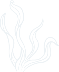 ng体育官方网站