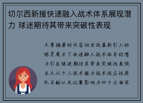 切尔西新援快速融入战术体系展现潜力 球迷期待其带来突破性表现